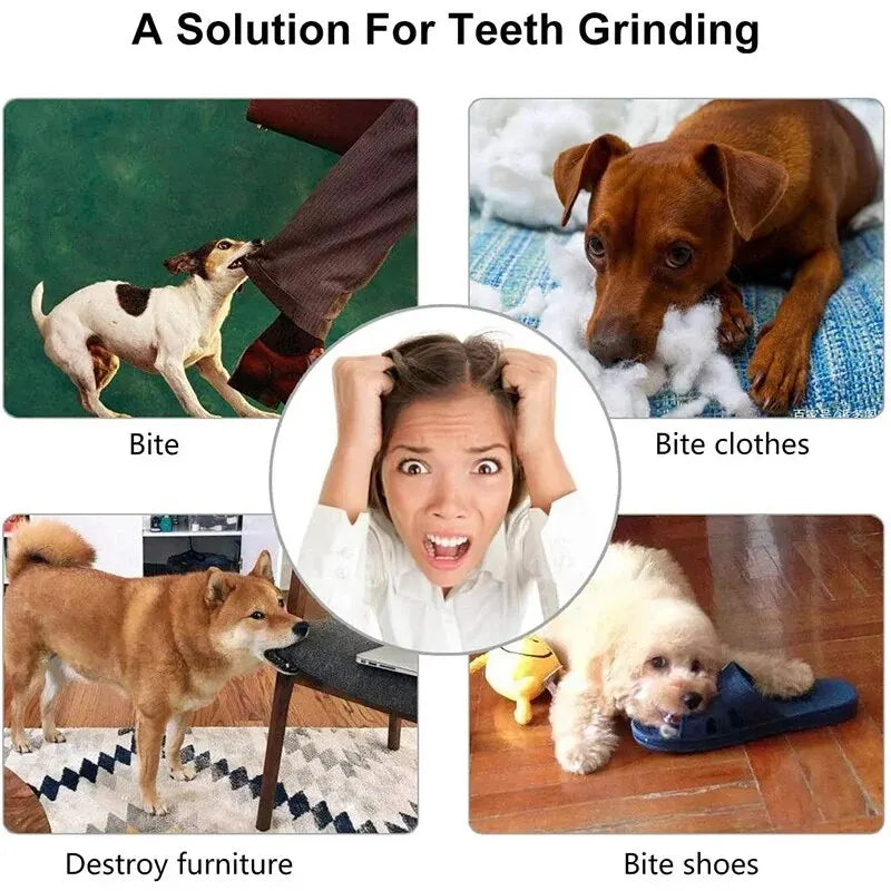 Interactive Treat Dog Ball