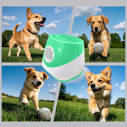 Automatic Dog Ball Launcher
