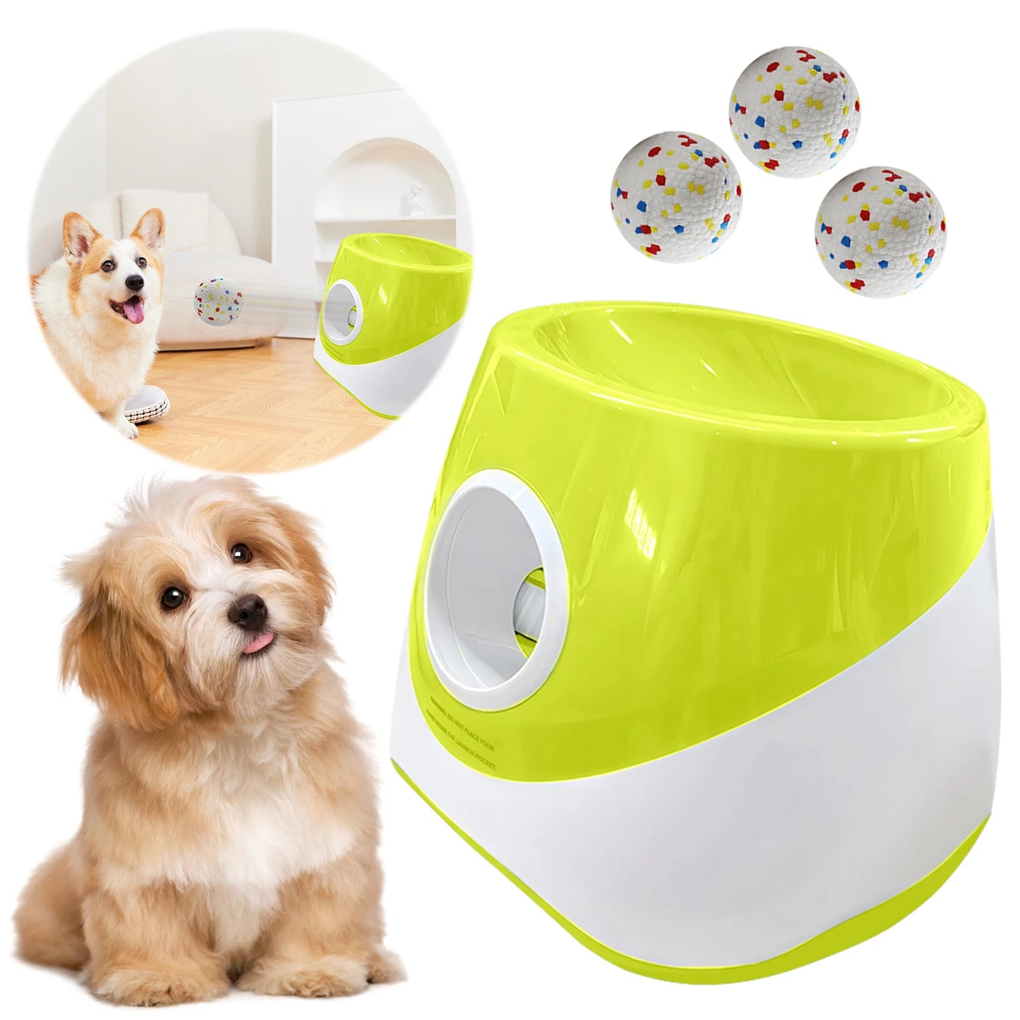 Automatic Dog Ball Launcher